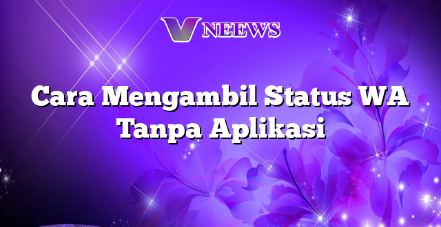 Cara Mengambil Status WA Tanpa Aplikasi